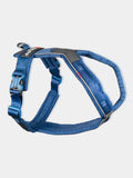 Harnais pour chien