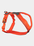 Harnais pour chien