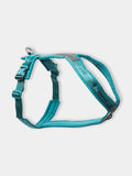 Harnais pour chien
