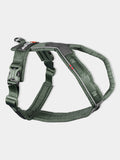 Harnais pour chien