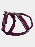 Harnais pour chien