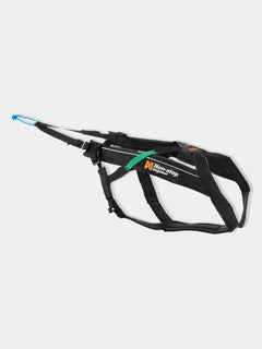 Taille 4 (33-36 cm - 14-20 kg)