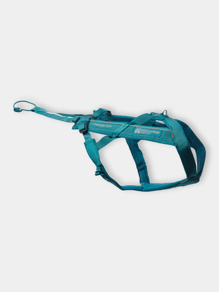 Harnais pour chien - Freemotion Harness 5.0 - Teal édition limitée