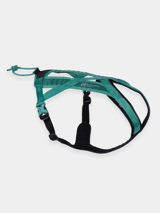 Harnais de traction court pour chien - Rush Harness - Teal