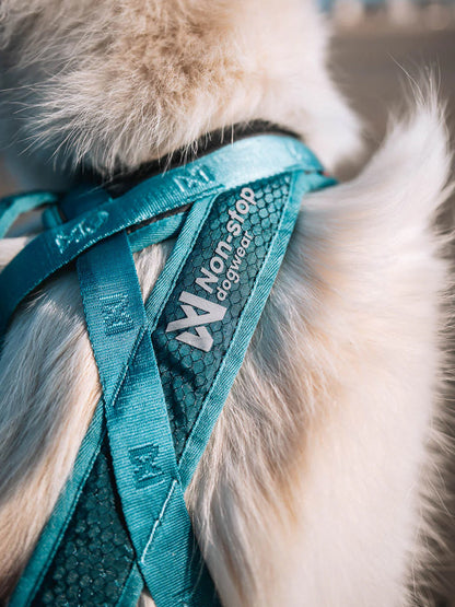 Harnais de traction court pour chien - Rush Harness - Teal