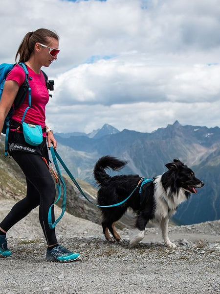 Laisse pour chien sportif