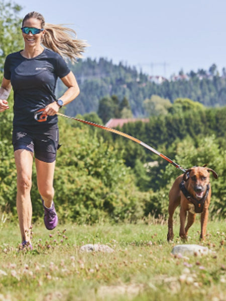 Laisse avec mousqueton - Move Leash - Non-Stop Dogwear