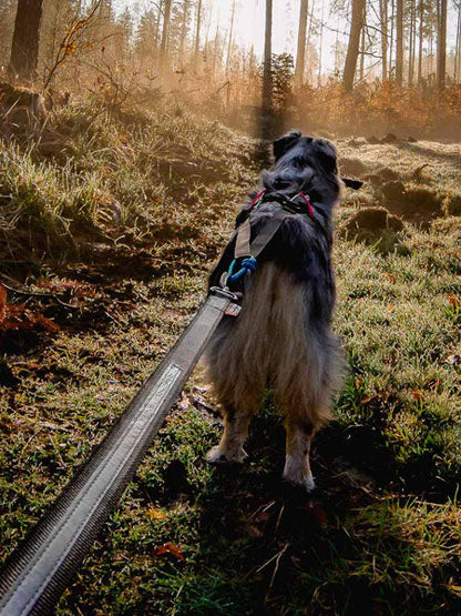 Laisse pour chien sportif - Touring Bungee - Non-Stop Dogwear