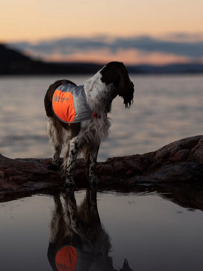 Manteau réfléchissant pour chien - Non-Stop Dogwear