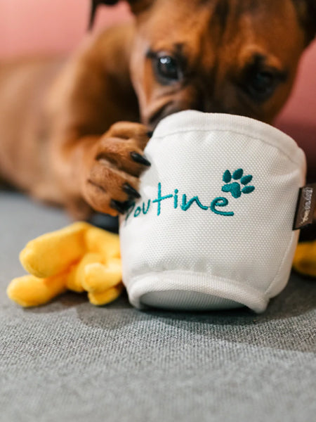 Jouet en peluche pour chien