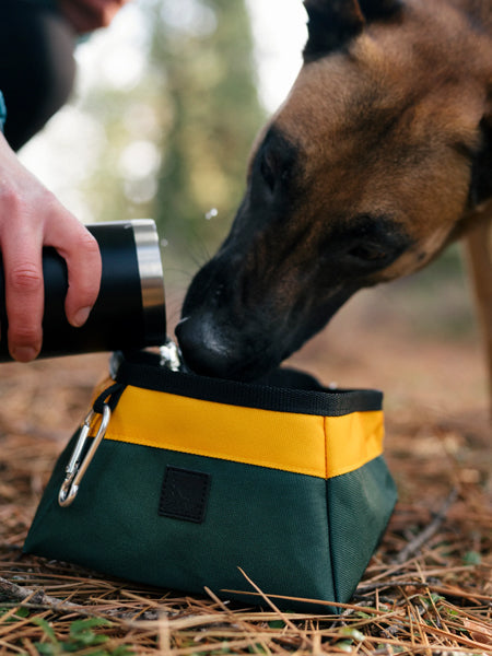 Gamelle de voyage pour chien - Landscape Series - Moss