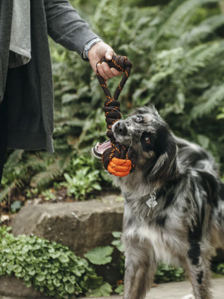 Jouet en corde pour chien - Tug Ball - Pet PLAY