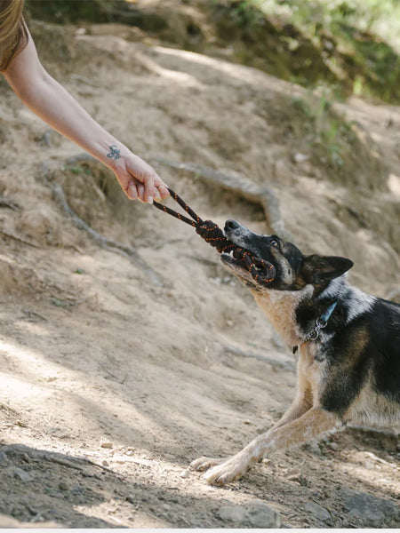 Jouet en corde pour chien - Scout & About Tug L - Pet PLAY
