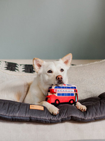 Jouet en peluche pour chien - Canine Commute - Bus Londonien - Pet PLAY