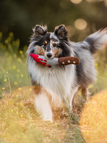 Jouet en peluche pour chien