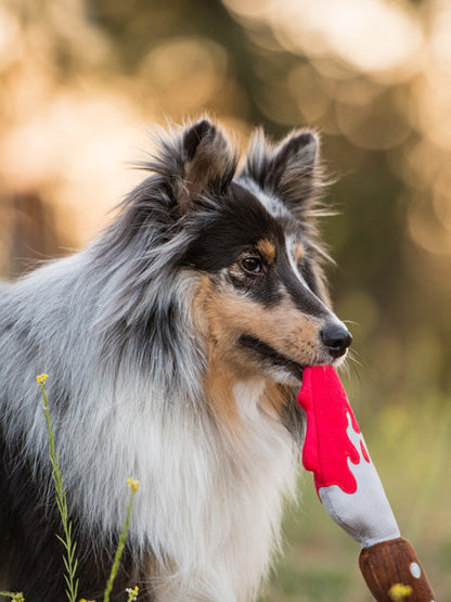 Jouet en peluche pour chien