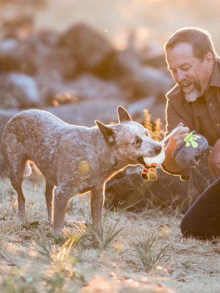 Jouet en peluche pour chien