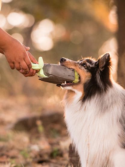 Jouet en peluche pour chien