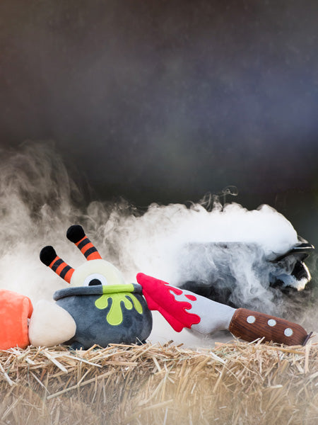 Jouet en peluche pour chien