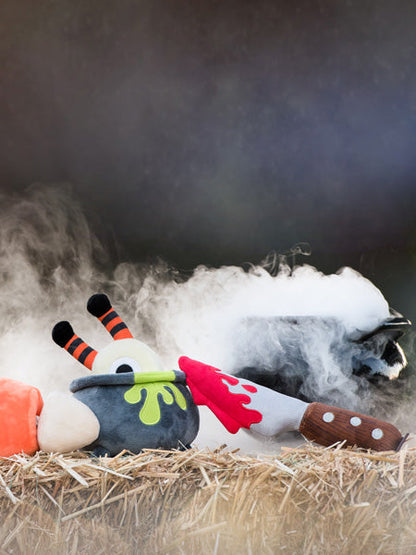 Jouet en peluche pour chien