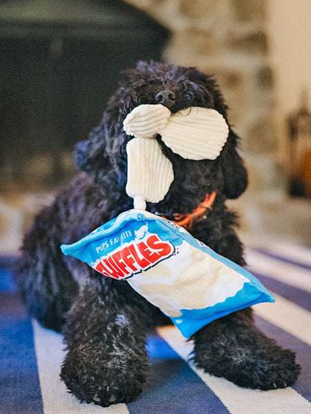 Peluche pour chien Snack Attack - Chips 🍠 - Pet PLAY