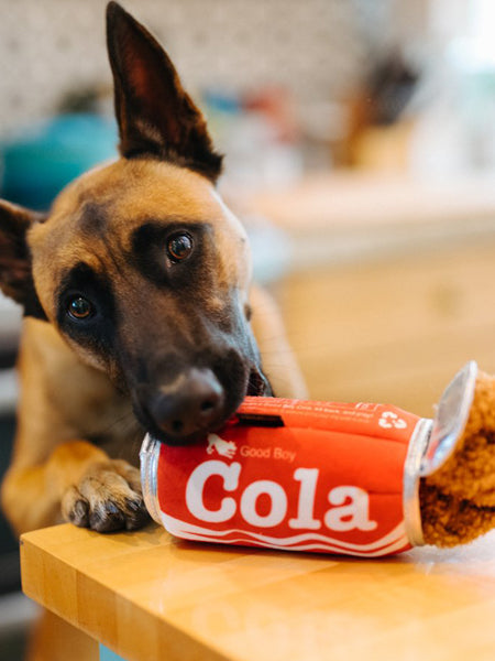 Peluche pour chien Snack Attack - Cola 🥤 - Pet PLAY