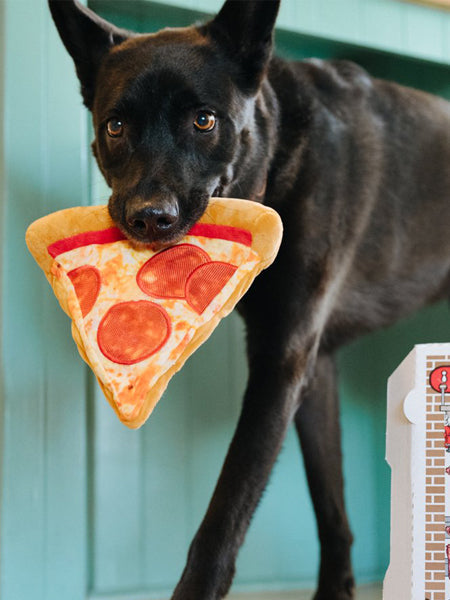 Peluche pour chien Snack Attack - Pizza 🍕 - Pet PLAY