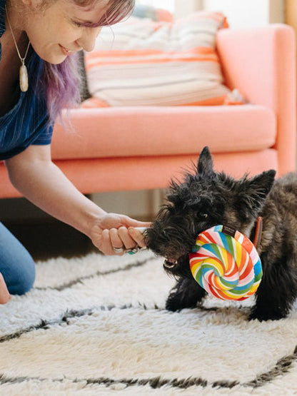 Peluche pour chien Snack Attack - Sucette 🍭 - Pet PLAY