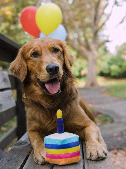 Jouet en peluche pour chien - Party Time - Gâteau d'anniversaire - Pet PLAY