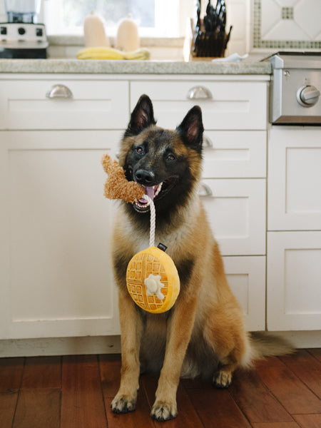 Jouet en peluche pour chien - Barking Brunch - Gaufre au poulet - Pet PLAY