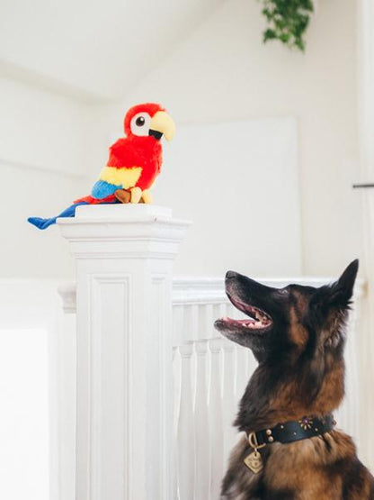 Jouet en peluche pour chien