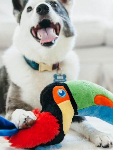 Jouet en peluche pour chien - Fetching Flock - Toucan - Pet PLAY