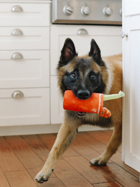 Jouet en peluche pour chien - Buddy Mary - Pet PLAY