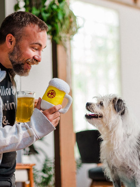 Jouet en peluche pour chien - Hollywoof Cinema - Bière - Pet PLAY