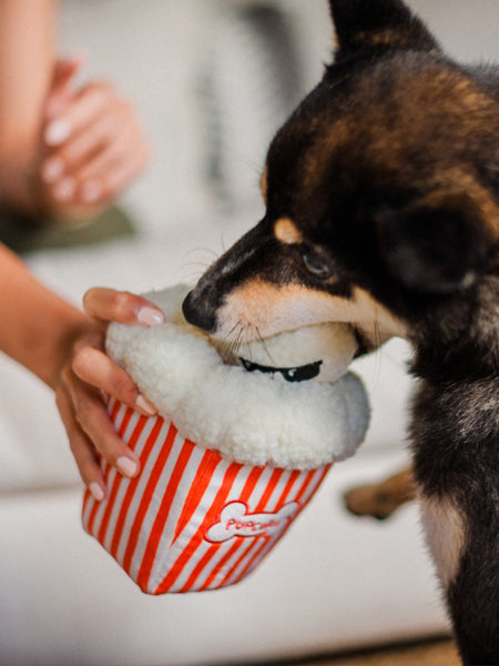 Jouet en peluche pour chien