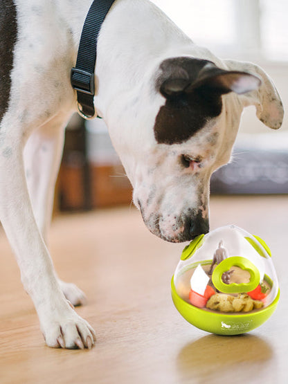 Jouet distributeur de friandises pour chien