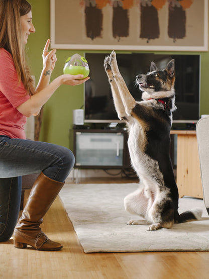 Jouet distributeur de friandises pour chien