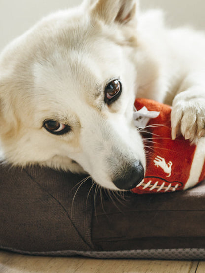 Jouet en peluche pour chien