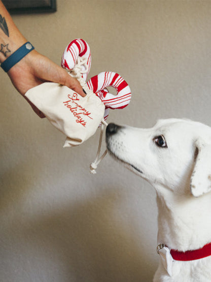 Jouet en peluche pour chien