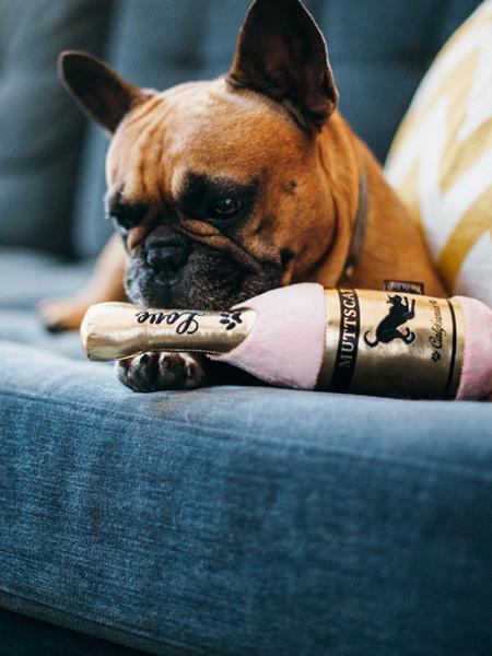 Jouet en peluche pour chien