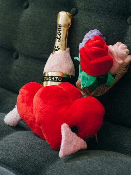 Jouet en peluche pour chien