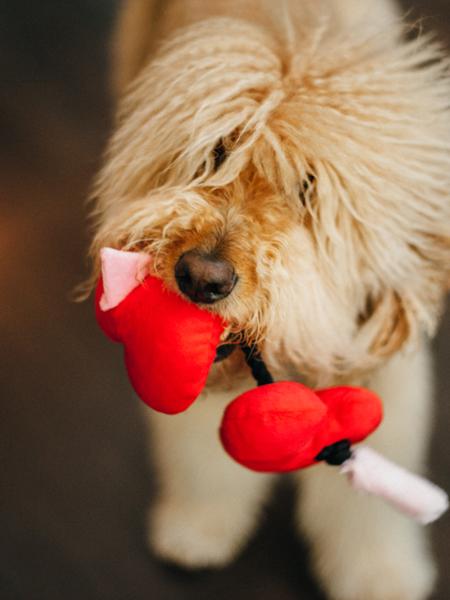 Jouet en peluche pour chien - Puppy Love - Coeur - Pet PLAY