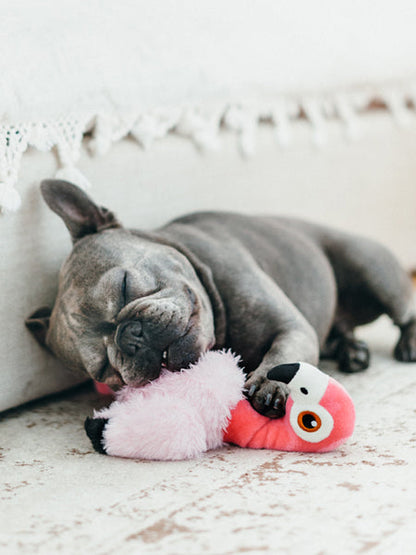 Jouet en peluche pour chien