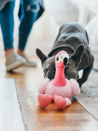 Jouet en peluche pour chien