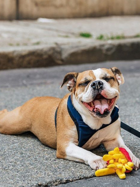 Jouet en peluche pour chien - American Classic - Frites