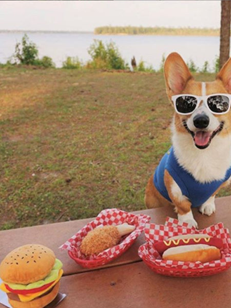 Jouet en peluche pour chien - American Classic - Hot dog