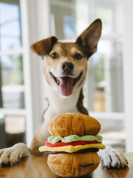 Jouet en peluche pour chien - American Classic - Hamburger