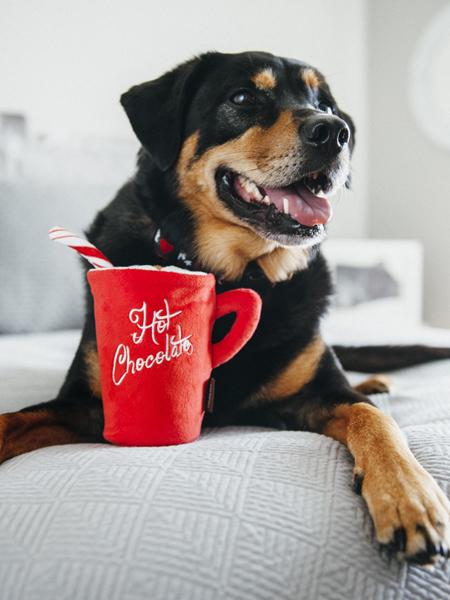 Jouet en peluche pour chien - Holiday Classic - Chocolat chaud - Pet PLAY