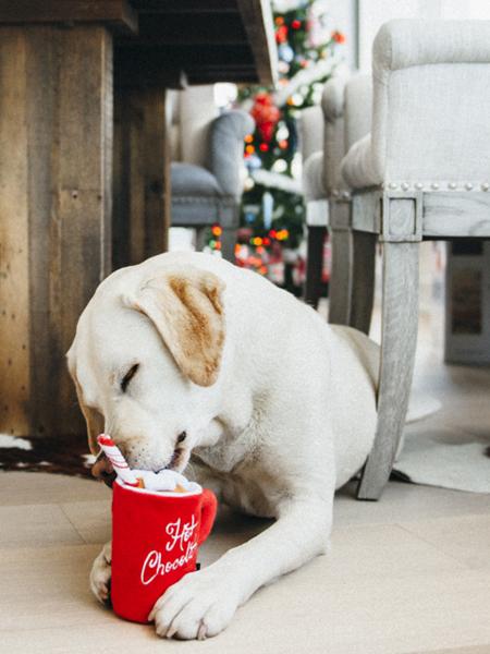 Jouet en peluche pour chien - Holiday Classic - Chocolat chaud - Pet PLAY
