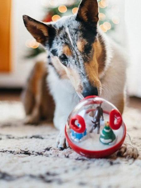 Jouet distributeur de friandises pour chien - Wobble Ball rouge - Pet PLAY